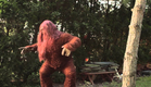 Sexsquatch: The Legend of Blood Stool Creek Movie Trailer