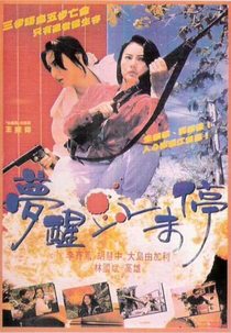 Dreaming the Reality (Meng xing xue wei ting)