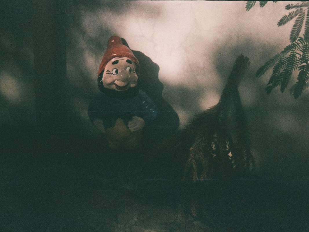 Fernando - Foto 4