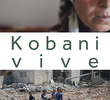 Kobani Vive – A Cidade Que Derrotou o Estado Islâmico