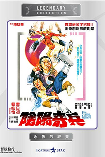 The Young Taoism Fighter - Poster / Capa / Cartaz - Oficial 1