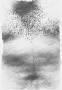 O Nascimento de Helena (O Nascimento de Helena)