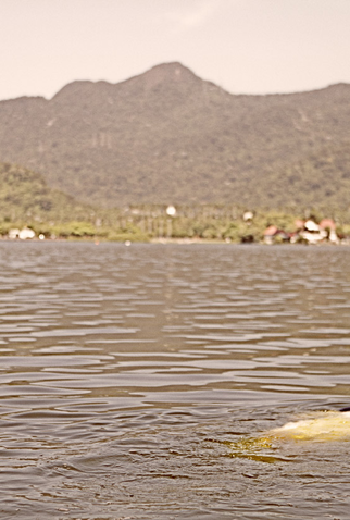 Poster 2 de Curta A Maldição de Berenice (2010)