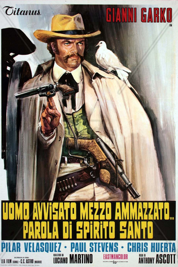 Poster de Filme Espírito Santo - O Justiceiro (1972)