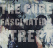 The Cure: Fascination Street