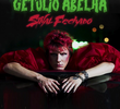 Getúlio Abelha: Sinal Fechado