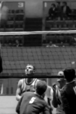 Volleyball (Volleyball)