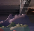 88:88