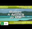 Biomas: A Ameaça do Mar