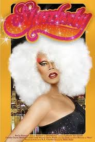 Poster 1 de Filme Starrbooty (2007)