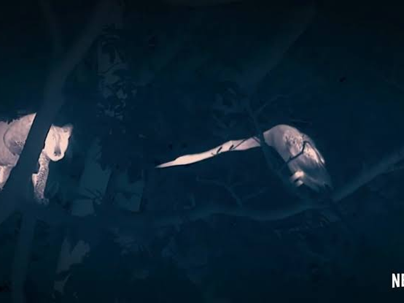 Foto 4 de A Terra à Noite