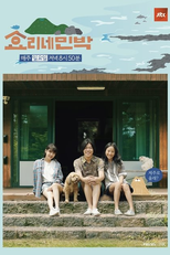 Hyori's Bed And Breakfast (효리네 민박)