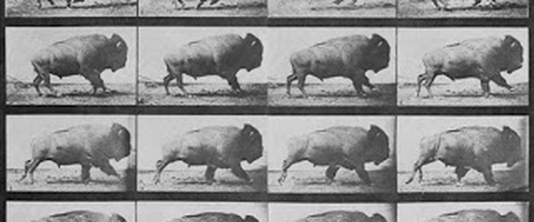 Buffalo Running (1883) - Crítica