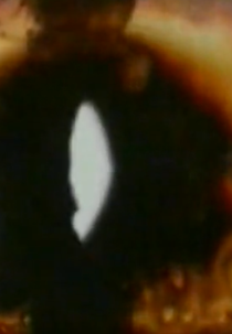 Wound Footage (Wound Footage)