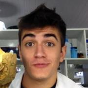 Foto de perfil de André Rebelo Dói