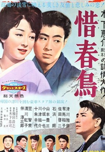 Farewell to Spring (惜春鳥)