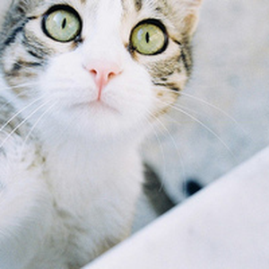 Foto de perfil de Lígia