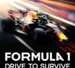 F1: Dirigir para Viver (2ª Temporada)