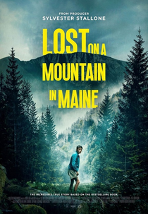 Perdido na Montanha (Lost On A Mountain In Maine)