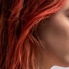 Lady Bird – A Hora de Voar e as jornadas de crescimento emocional