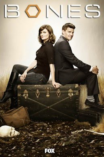 Poster de Série Bones (8ª Temporada) (2012)