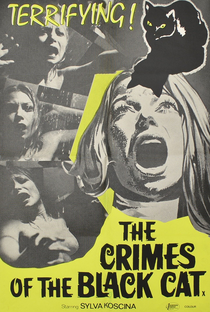 Os Crimes do Gato Preto - Poster / Capa / Cartaz - Oficial 2