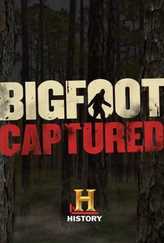 Poster 1 de Filme A Captura do Pé Grande (2015)