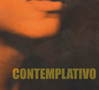 Contemplativo