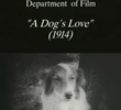 A Dog’s Love