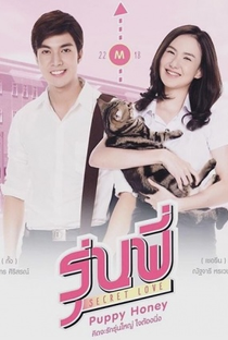 Senior Secret Love: Puppy Honey - Poster / Capa / Cartaz - Oficial 1