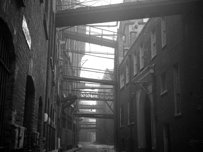 Foto 2 de The Long Memory