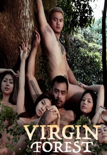 Virgin Forest (Virgin Forest)