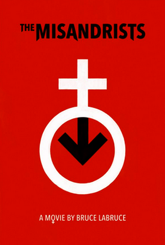 Poster 1 de Filme As Misândricas (2017)