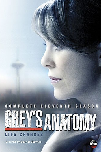  de Série A Anatomia de Grey (11ª Temporada) (2014)