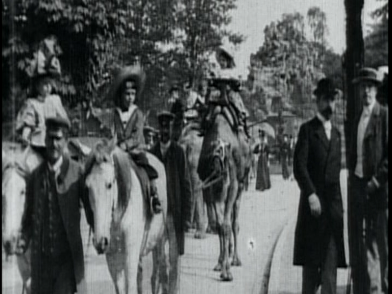 Foto 1 de Avestruzes