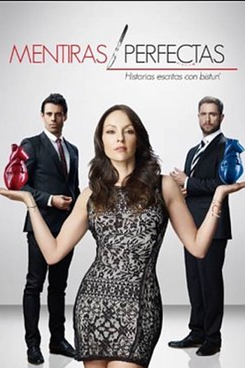 Poster de TV Mentiras perfectas (2013)