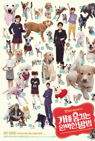 Poster 5 de Filme How to Steal a Dog (2014)