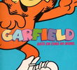 Garfield - Gato em Cima do Muro