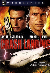 Aterrissagem (Crash Landing)