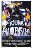 O Jovem Frankenstein (Young Frankenstein)
