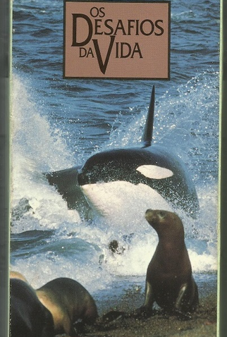 Poster 1 de Filme Os Desafios da Vida - Caçada e Fuga (1995)