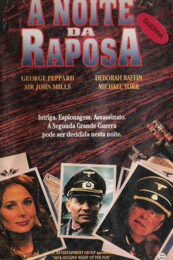 Poster de Filme A Noite da Raposa (1990)