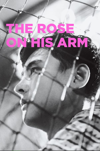 Poster de Filme The Rose on His Arm (1956)