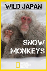 Japão Selvagem (Wild Japan: Snow Monkeys)
