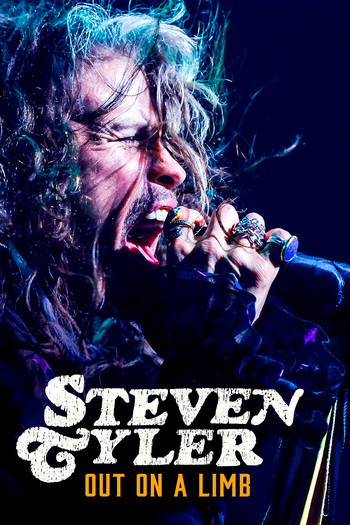 Poster de Filme Steven Tyler: Out on a Limb (2018)
