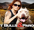 Pit Bulls and Parolees (2ª temporada)