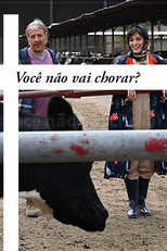 Você não vai chorar? (Won't you Cry?)