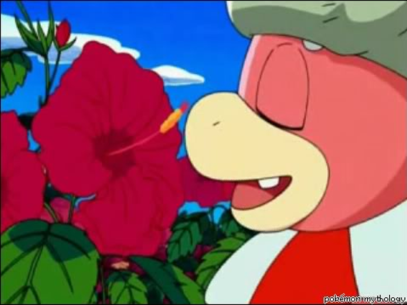 Foto 1 de Dia de Slowking