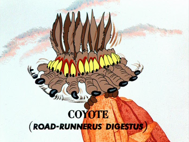 Foto 11 de Tentando de Tudo