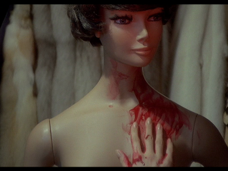 Foto 1 de O Ventre Negro da Tarântula